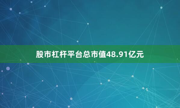 股市杠杆平台总市值48.91亿元
